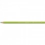 Polychromos Colour Pencil may green